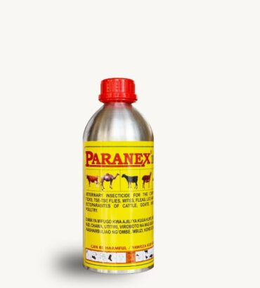 Paranex