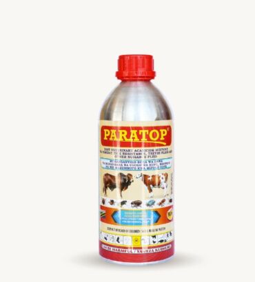 Paratop