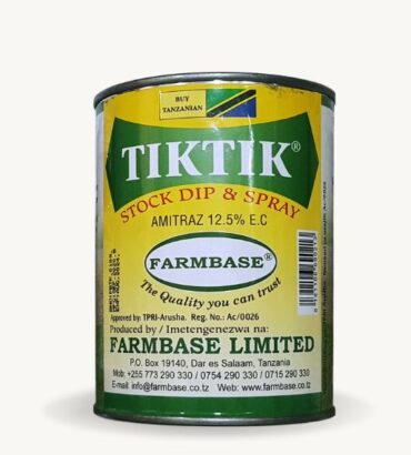 Tiktik